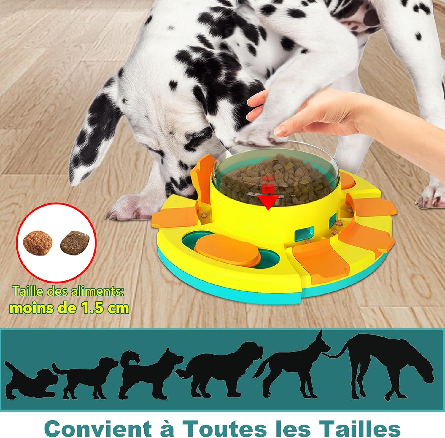 Detalle de Dufuso Giochi per cani intelligenza: gioco interattivo a due livelli (IQ livello 2)