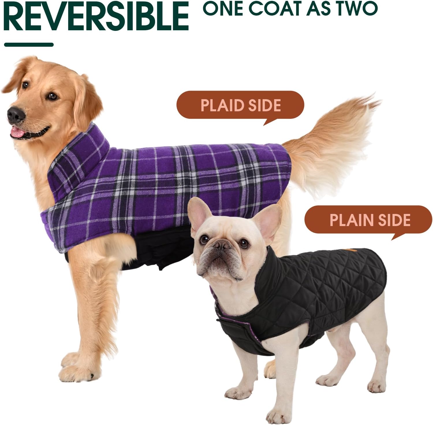 Detalle 2 de Kuoser Dog Coat, 2XL