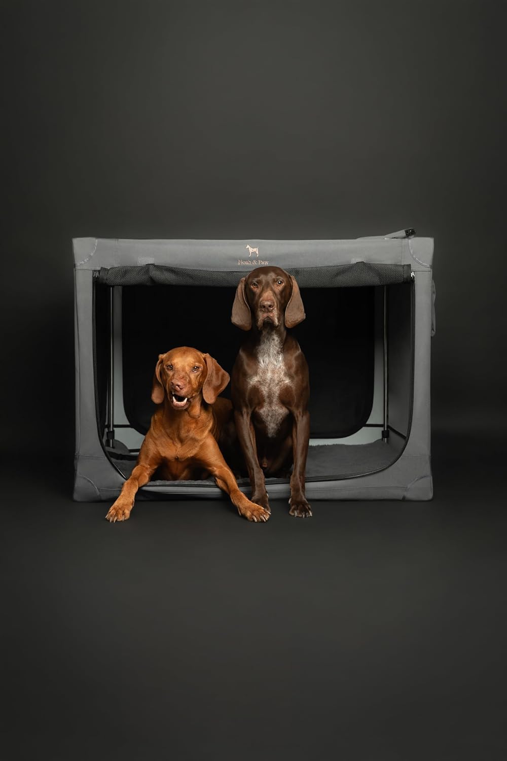 Detalle 2 de Noah & Paw 42-inch Collapsible Dog Crate (XXL) with 10mm locking zippers and pet mat