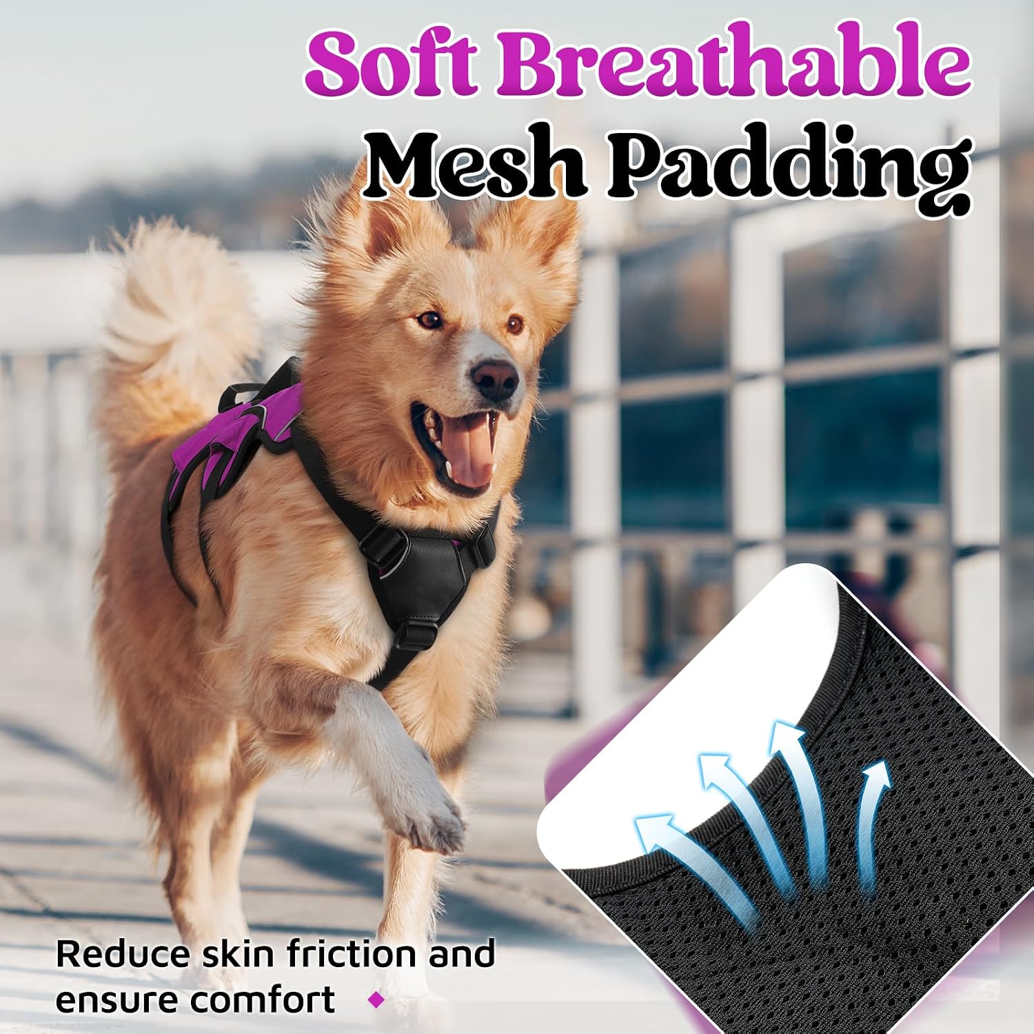 Thumbnail 6 de rabbitgoo Escape-Proof Dog Harness (Large, Purple) with Lift Handle and Reflective Trim