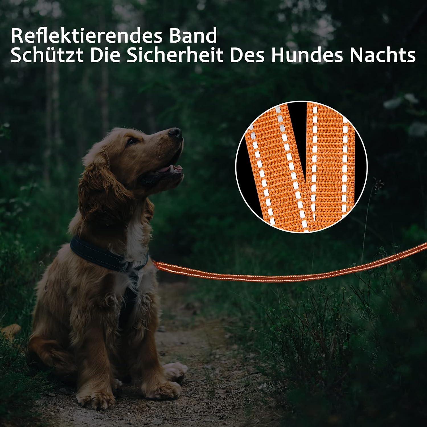 Detalle de Demigreat Schleppleine für Hunde – reflektierendes Training, gepolsterter Griff, 3–20 m