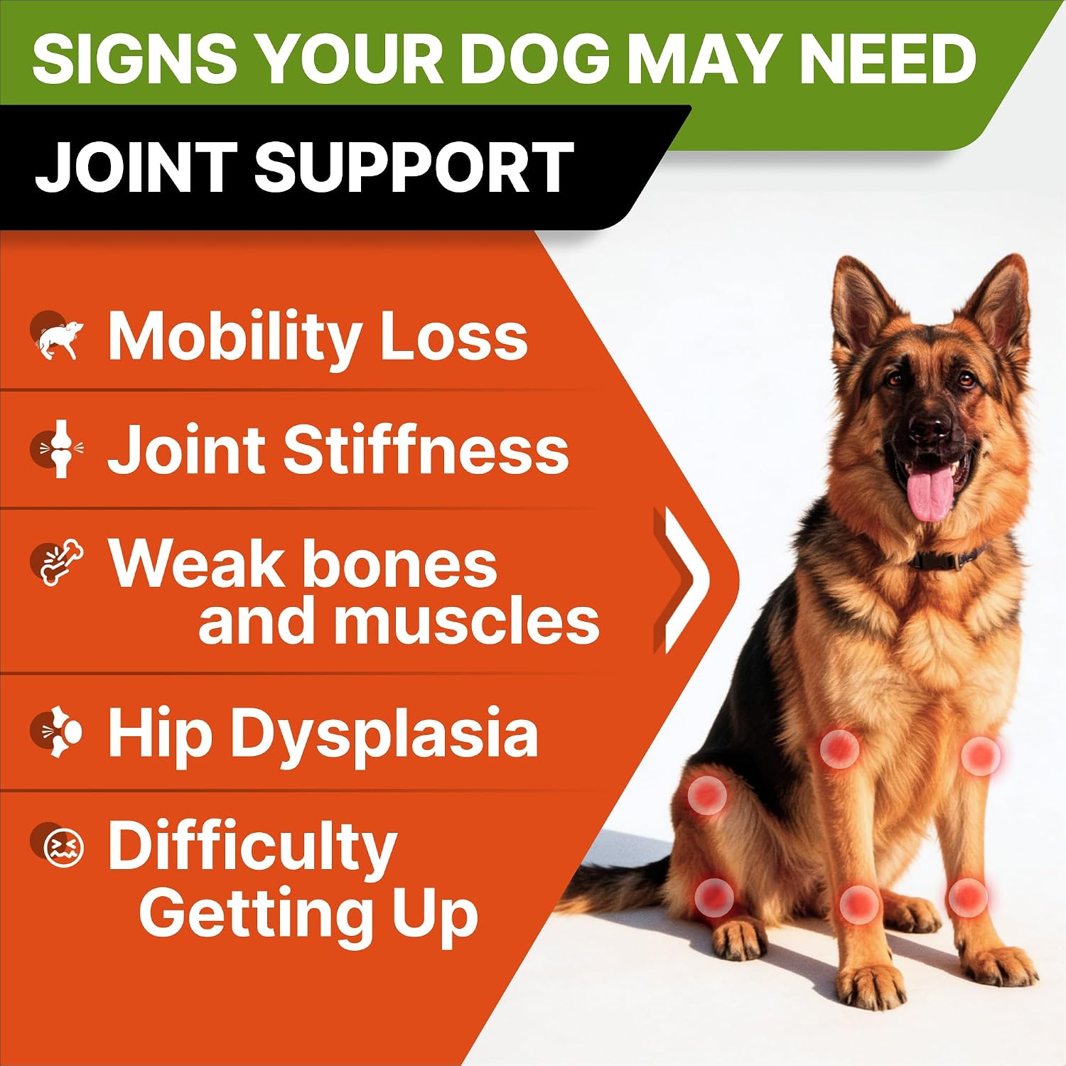 Detalle de STRELLALAB Dog Joint Supplement, 120 Count