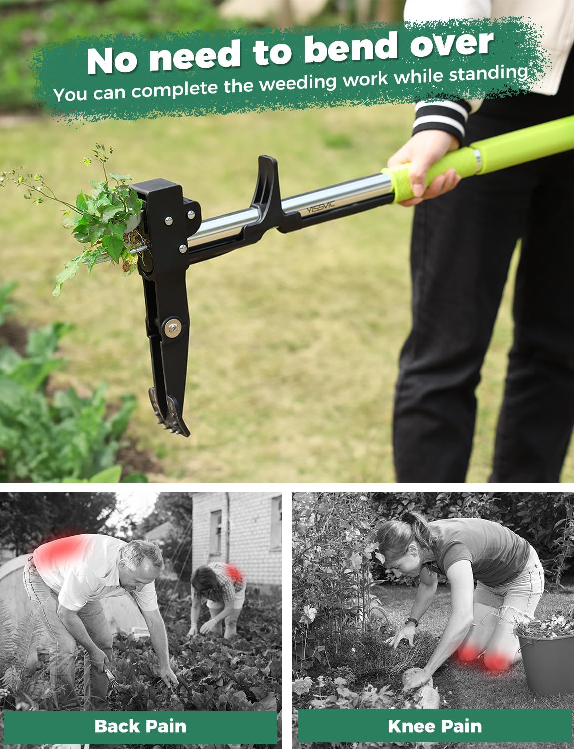 Detalle de YISSVIC Stand-Up Weed Puller with 4 Claws – Adjustable Telescopic Stainless Steel Root Remover
