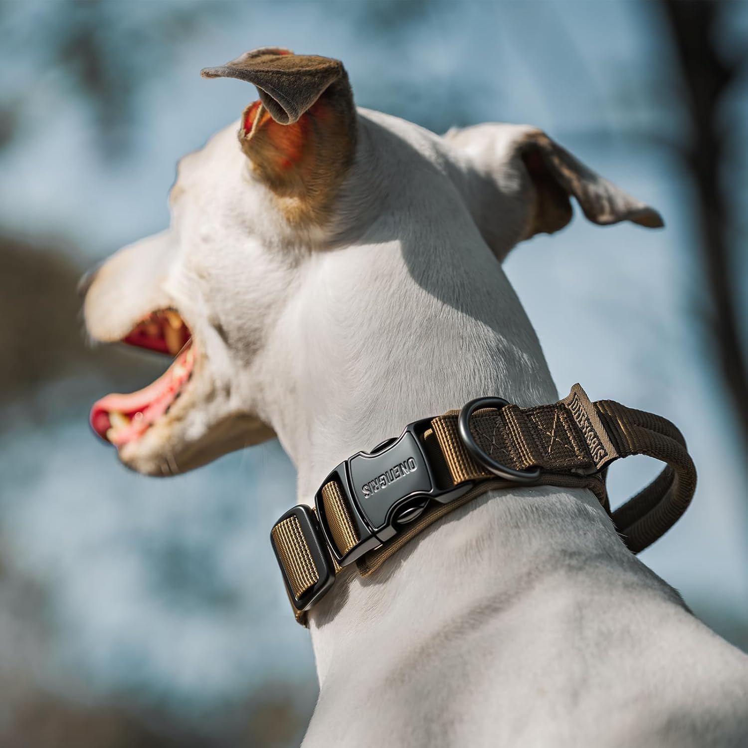 Detalle de OneTigris Collare per cani con fibbia in metallo: nylon imbottito e personalizzabile