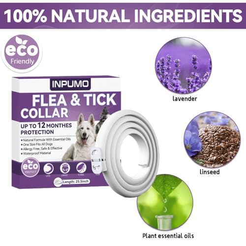 Detalle de Collar antiparasitario para perros Inpumo: protección natural de 12 meses, impermeable y ajustable