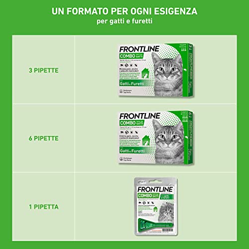 Thumbnail 4 de FRONTLINE Combo per Gatti, Gattini e Furetti – Confezione 6 Pipette da 0,5 ml, antiparassitario a lunga durata
