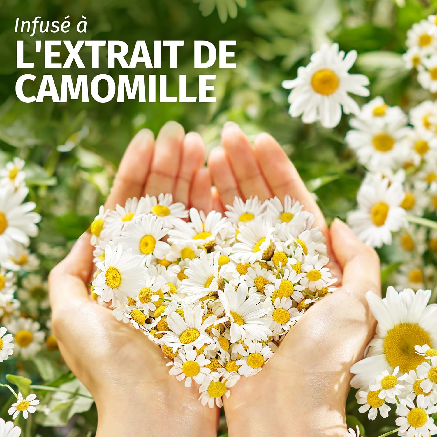 Detalle 2 de Herbal Essences Smoothness & Shine 250 ml