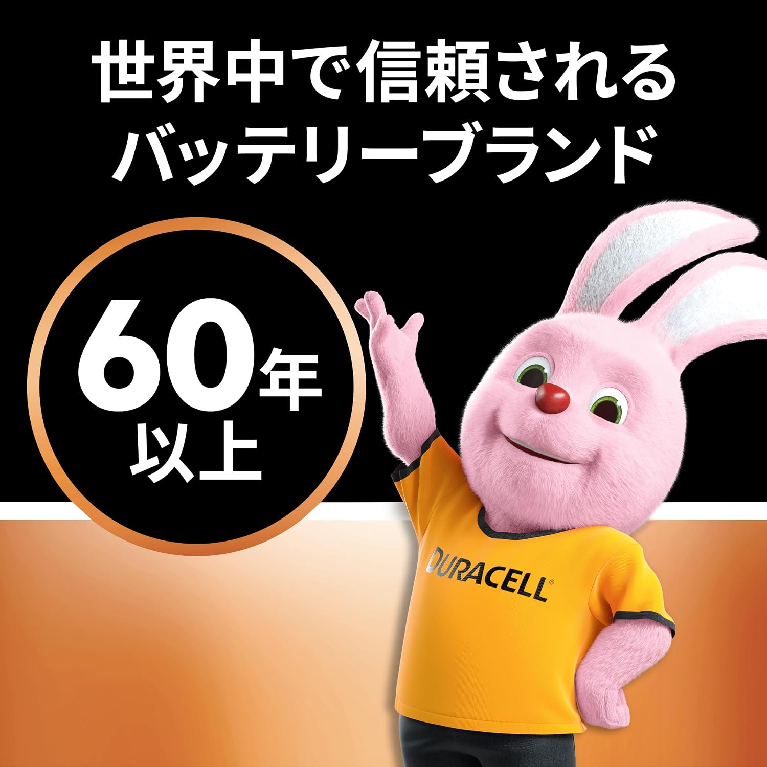 Detalle de Duracell メインライン 9V形アルカリ乾電池 1本入り、5年保存・液もれ防止設計