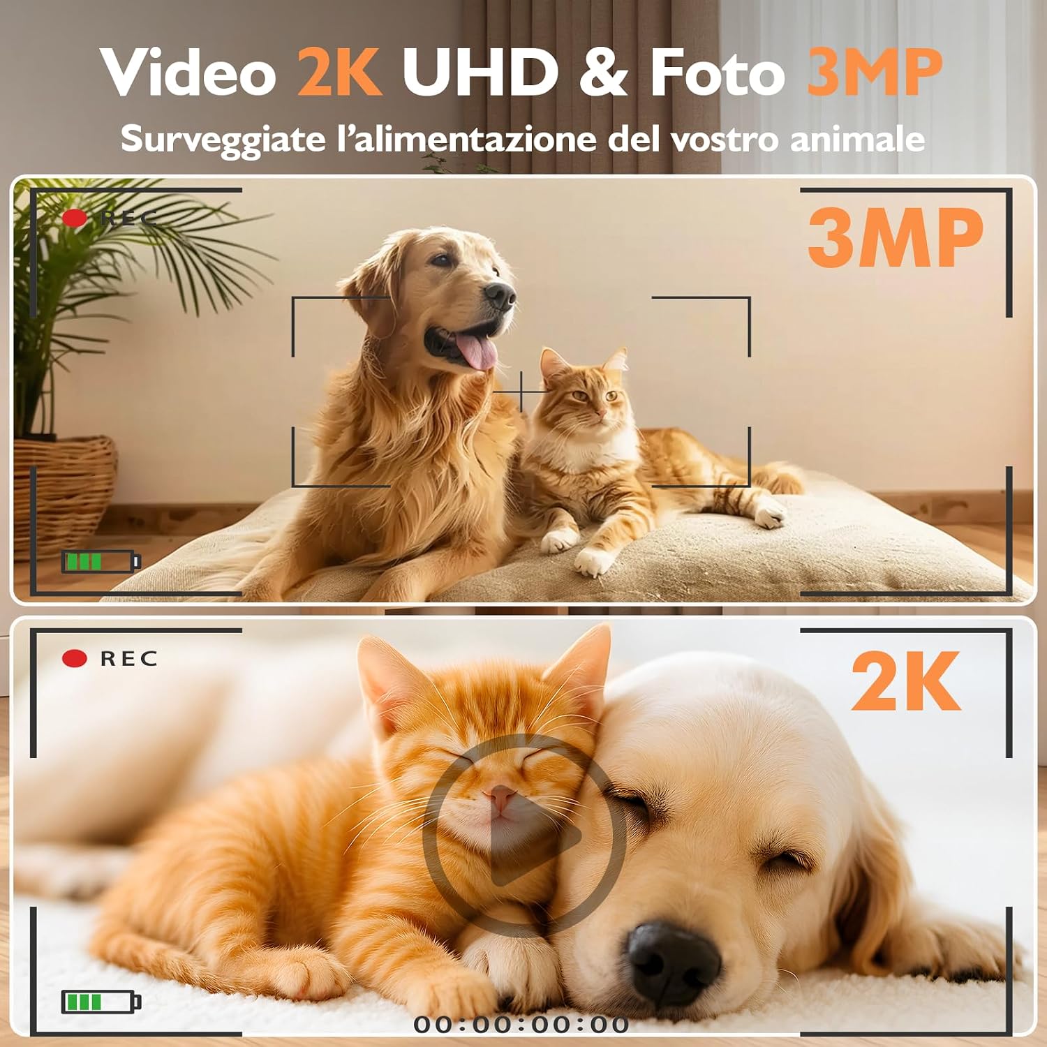 Detalle de PETLIV Distributore Automatico Cibo Gatti con Telecamera 2K e 5L/4L