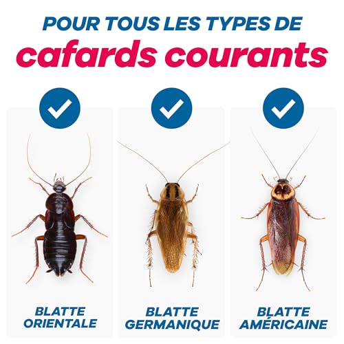 Detalle 1 de Gerobug pièges à cafards, lot de 12
