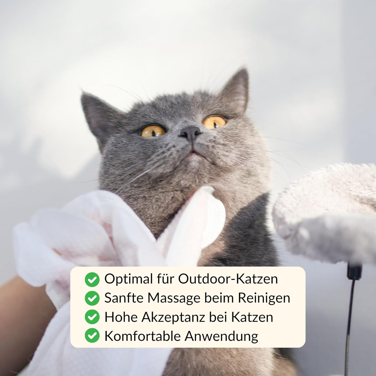 Thumbnail 6 de RumbleBox Handschuh-Feuchttücher für Katzen & Hunde – Präzise Reinigung und sanfte Fellpflege