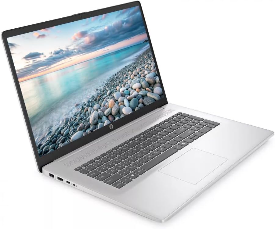 Detalle de HP 17.3-inch business laptop