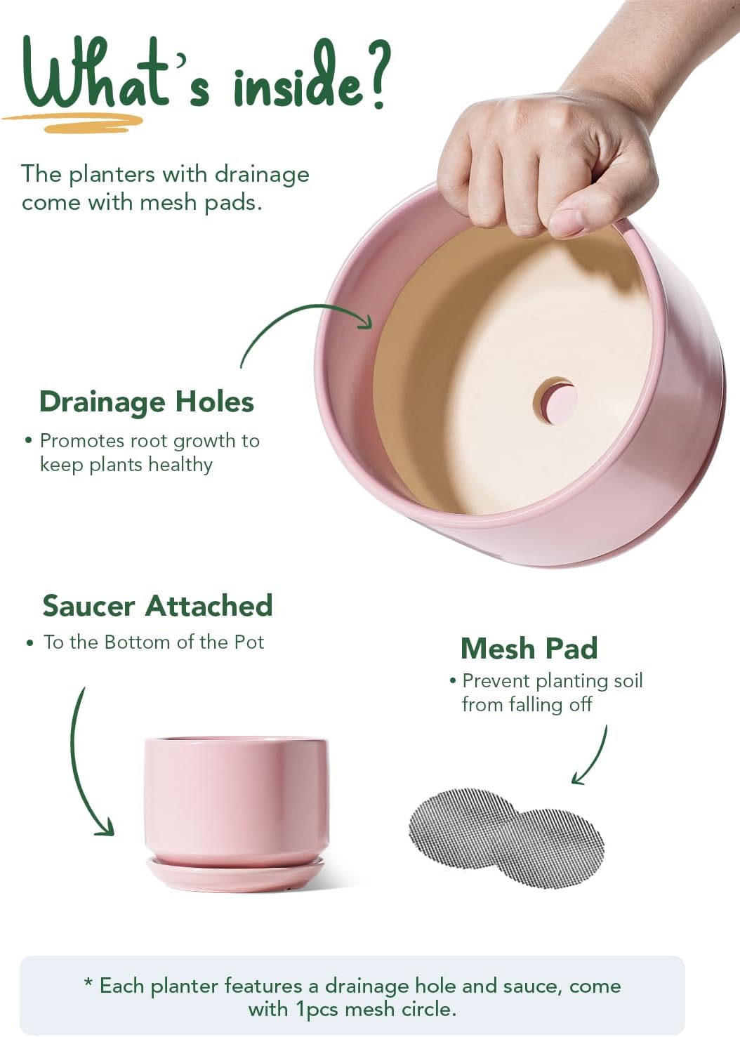 Detalle de LE TAUCI 11/13/17 cm Ceramic Plant Pots Set of 3 with Drainage Holes and Saucer