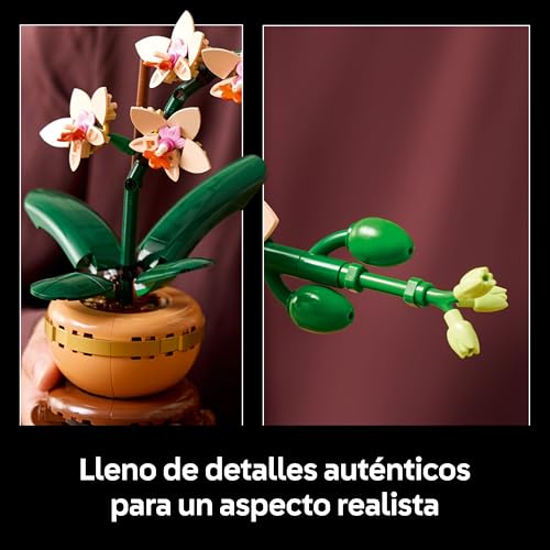 Thumbnail 3 de LEGO Botanicals Miniorquídea 10343 — Maqueta de Orquídea para Decoración y Regalo