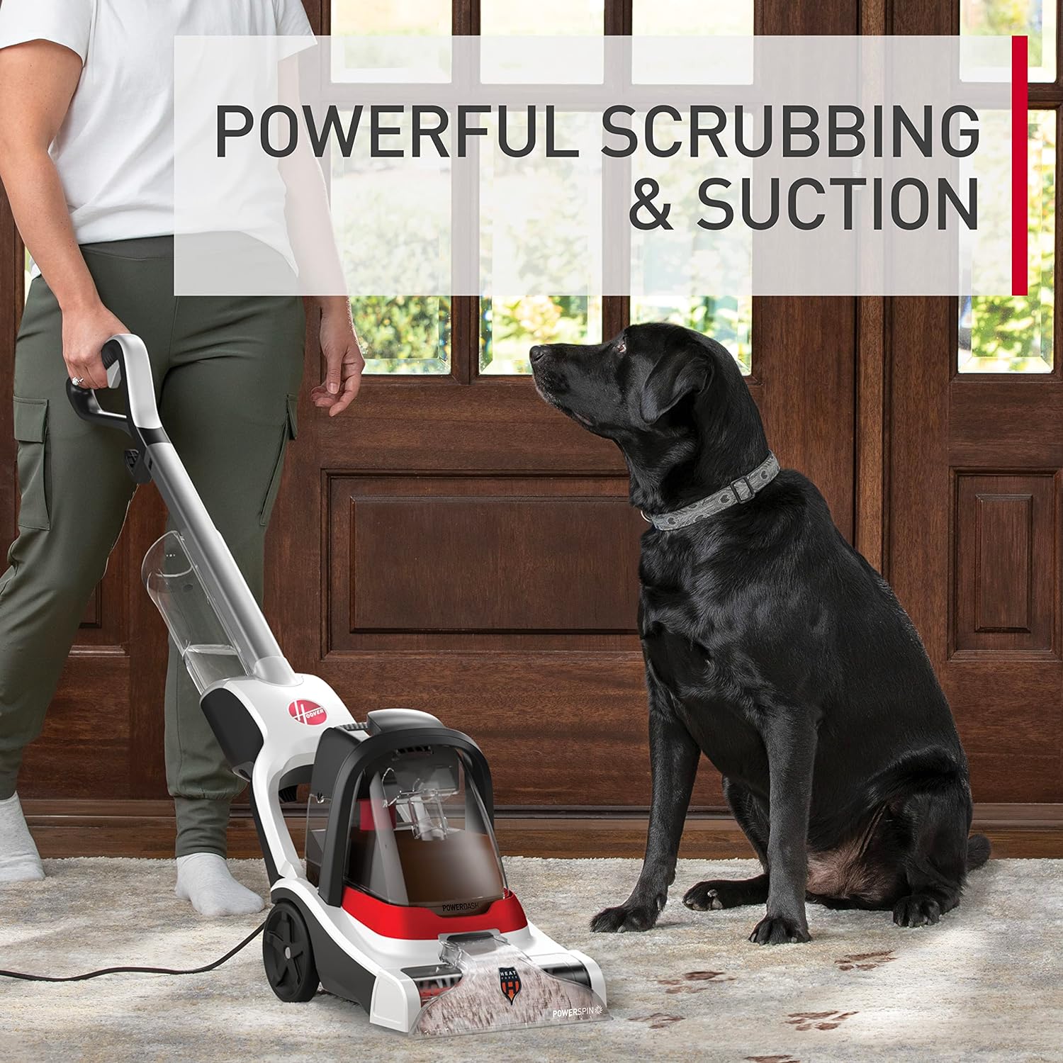 Detalle de Hoover PowerDash Pet+ Compact Carpet Cleaner