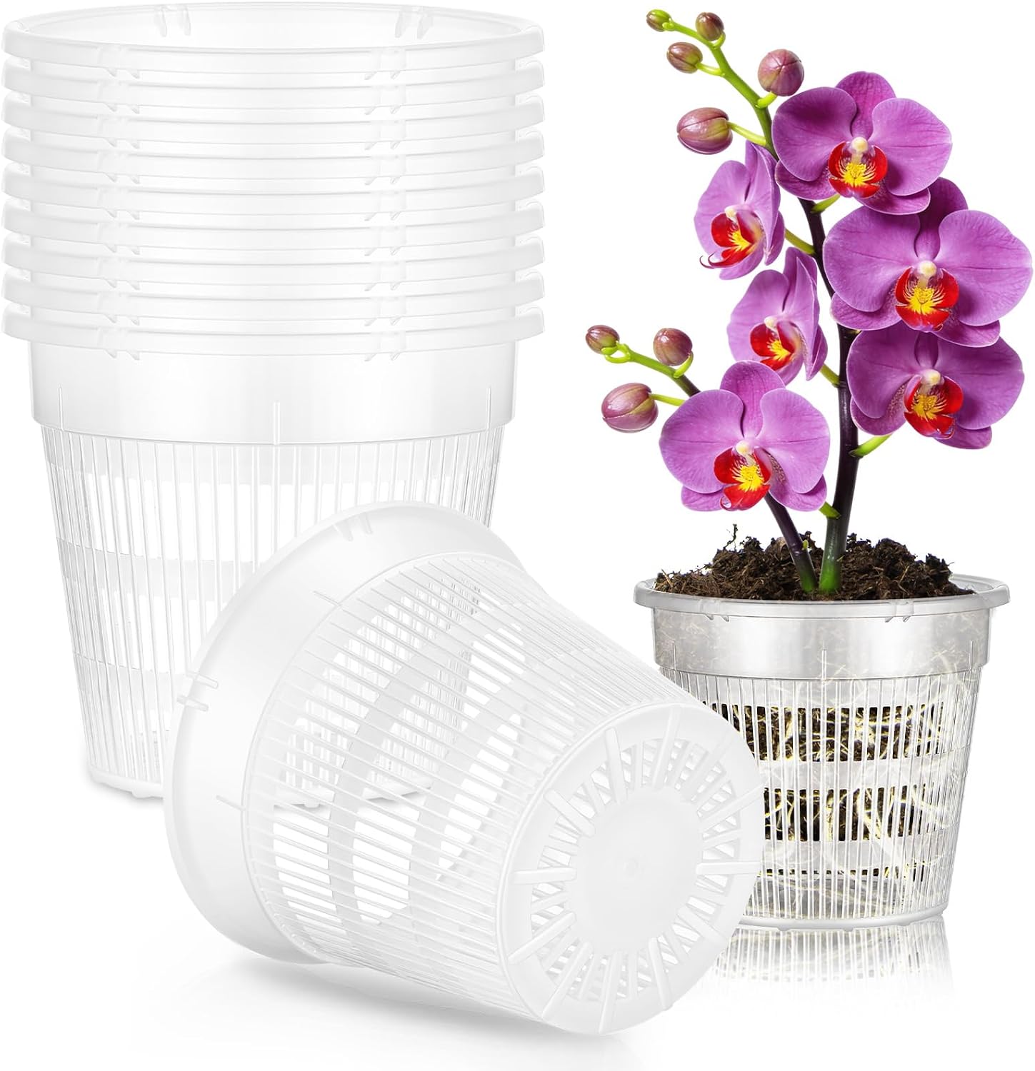 Detalle de AOOWU 5416738 orchideeënpotten, set van 10, transparant PP met drainagegaten