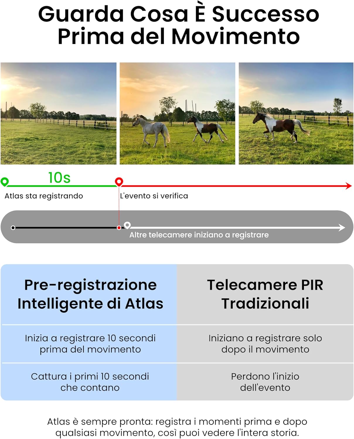 Thumbnail 2 de Reolink 2K 360° PTZ Telecamera 20000mAh