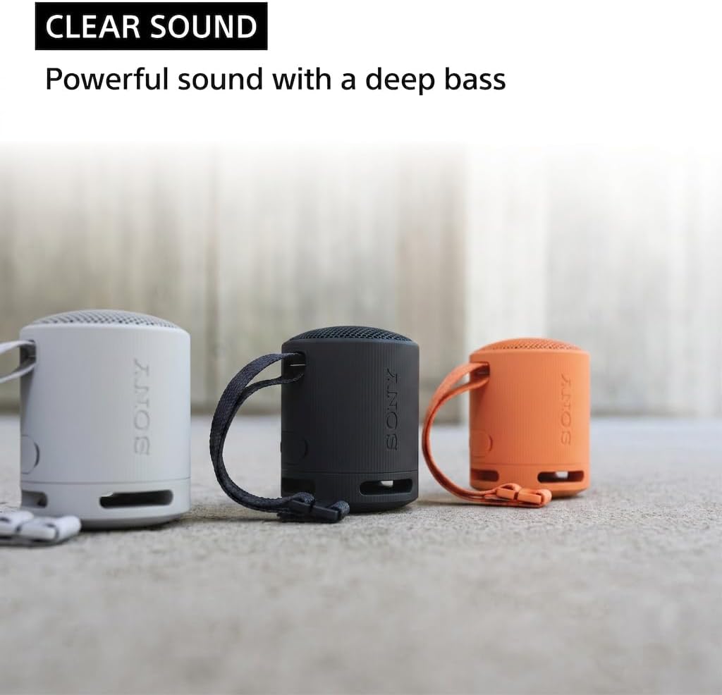 Detalle de Sony SRS-XB100 Portable Bluetooth Speaker