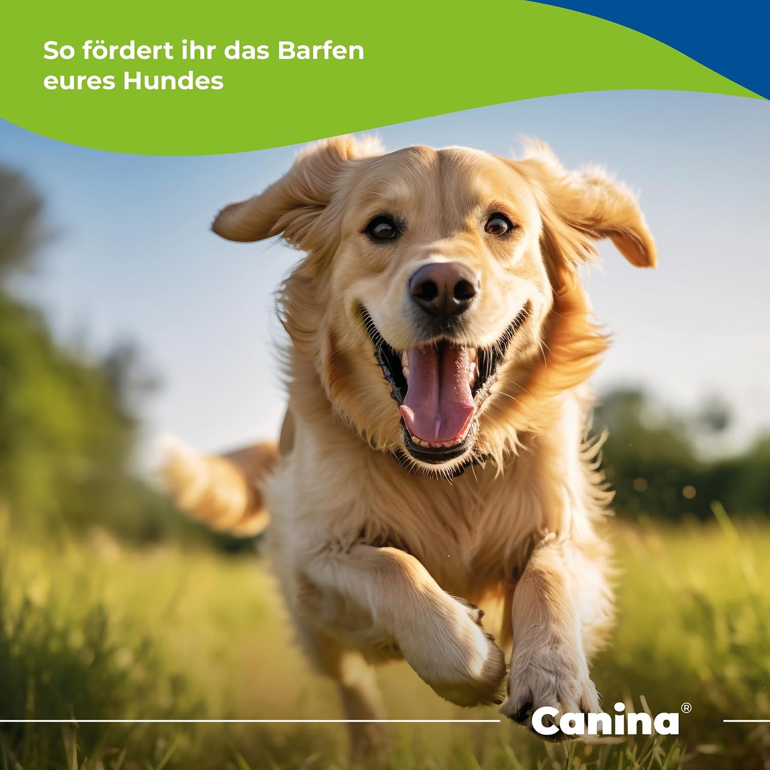 Detalle de Canina Pharma Barfer's Best Junior, proszek dla szczeniąt na okres wzrostu, 850 g