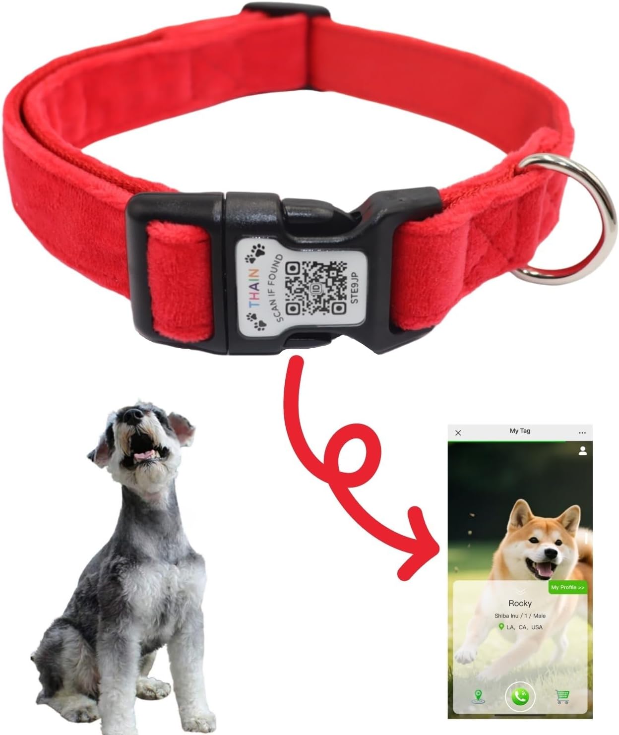 Thumbnail 6 de THAIN Smart QR Code Dog Collar M