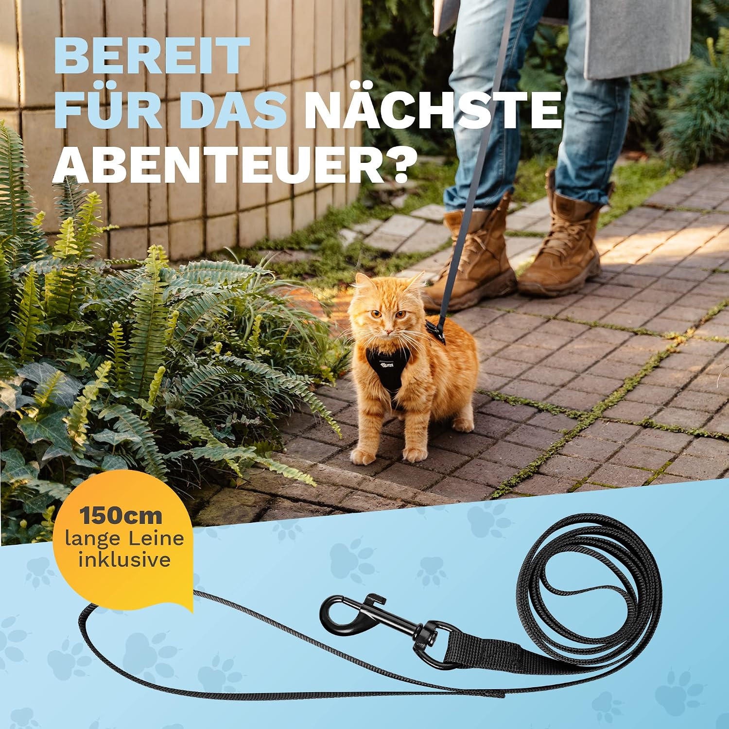 Thumbnail 4 de Pets Perfect Katzengeschirr S đŸ