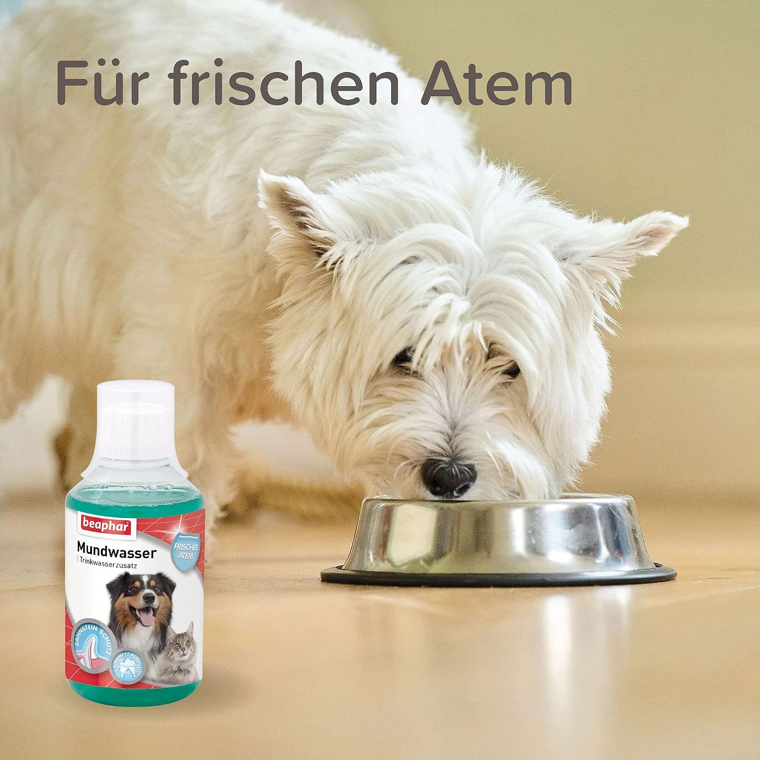 Detalle 2 de Beaphar Mundwasser, 250 ml – einfache Maulhygiene ohne Zahnbürste für Hunde und Katzen
