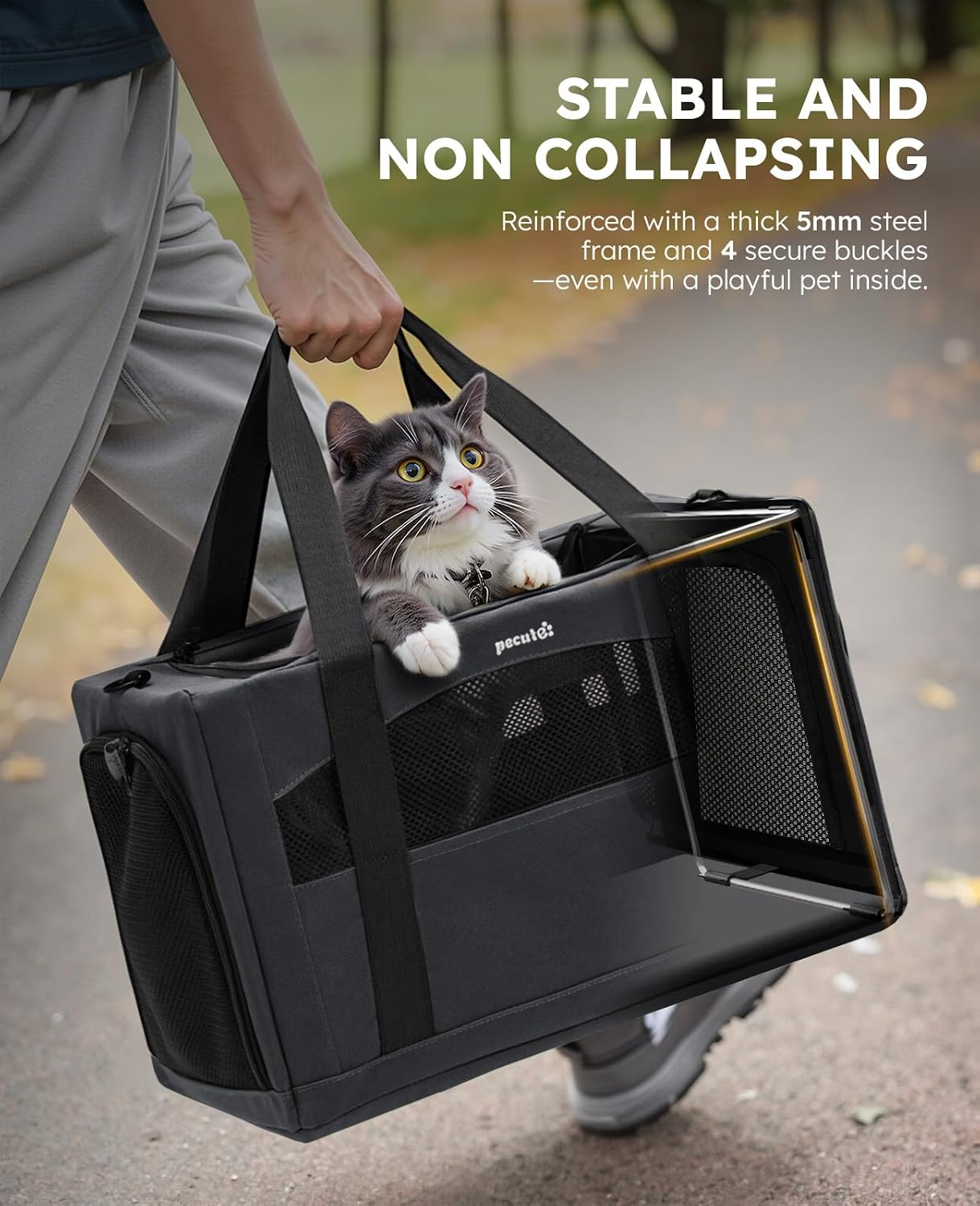 Thumbnail 1 de pecute Cat Carrier XL