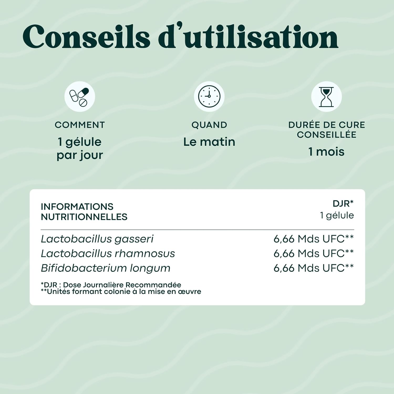 Thumbnail 4 de NOVOMA Probiotique Flore Intestinale – 20 milliards UFC/jour (Lactobacillus gasseri, rhamnosus & Bifidobacterium), 30 gélules vegan