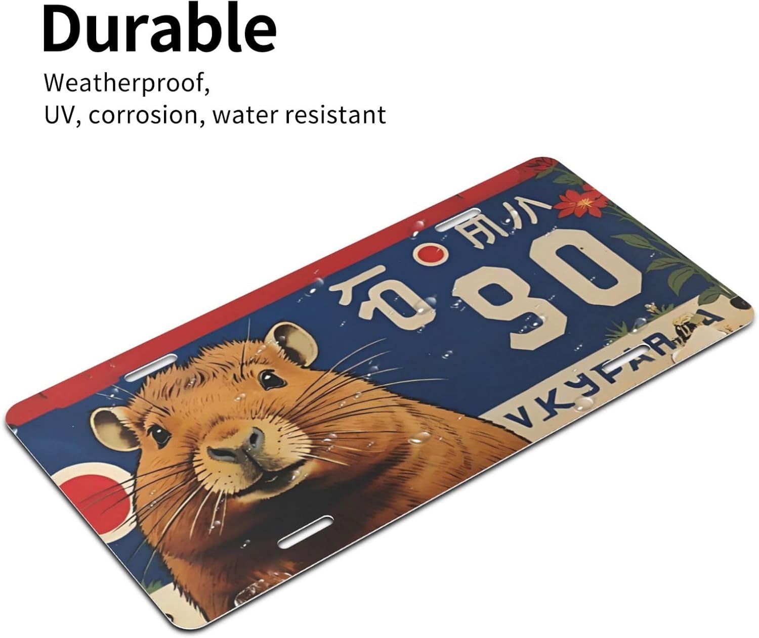 Detalle de Decorative License Plate 12 × 6 Inch