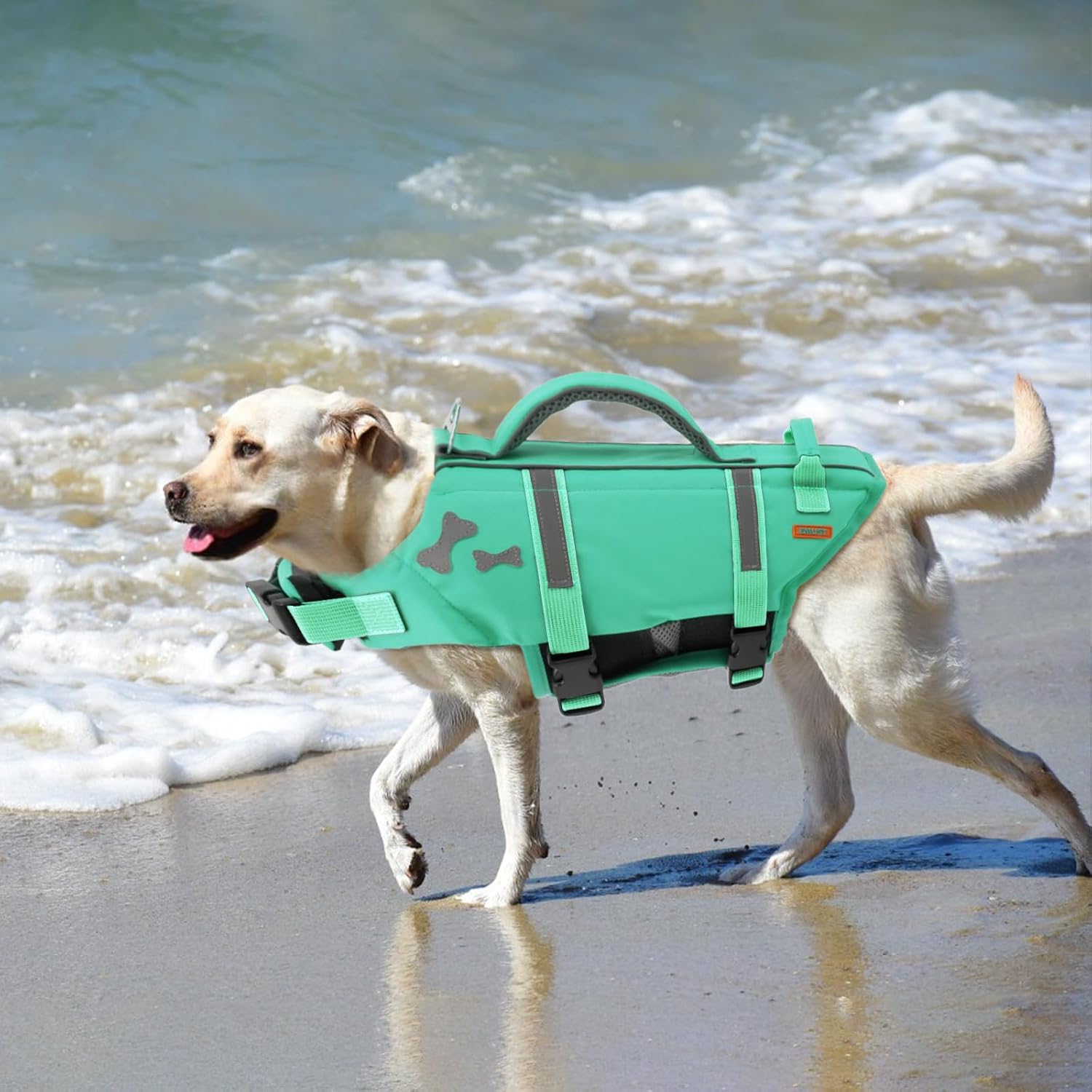 Thumbnail 6 de EMUST Dog Life Vest for Swimming (Turquoise, Size L)