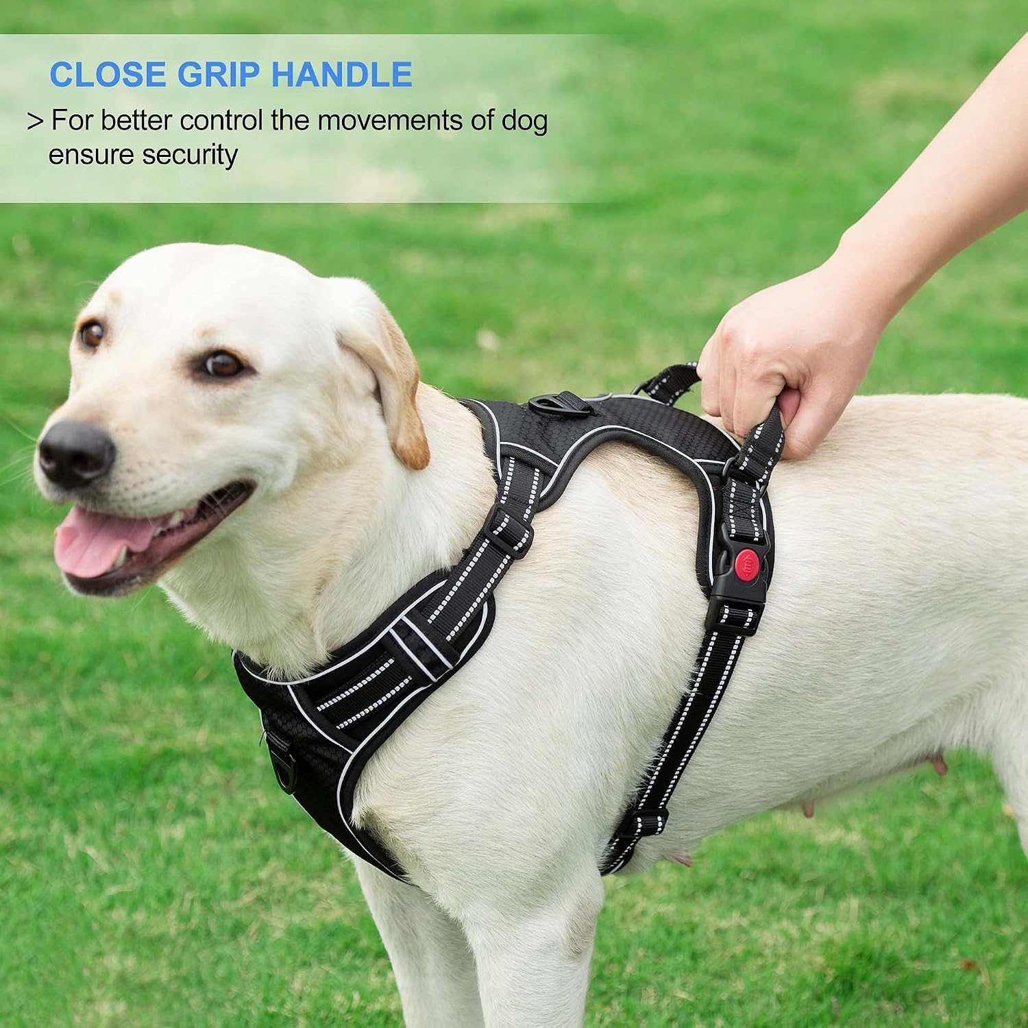 Detalle 2 de haapaw No Pull Dog Harness with Reflective Oxford Fabric, Adjustable Easy Control Medium Large + Free Heavy Duty Lead
