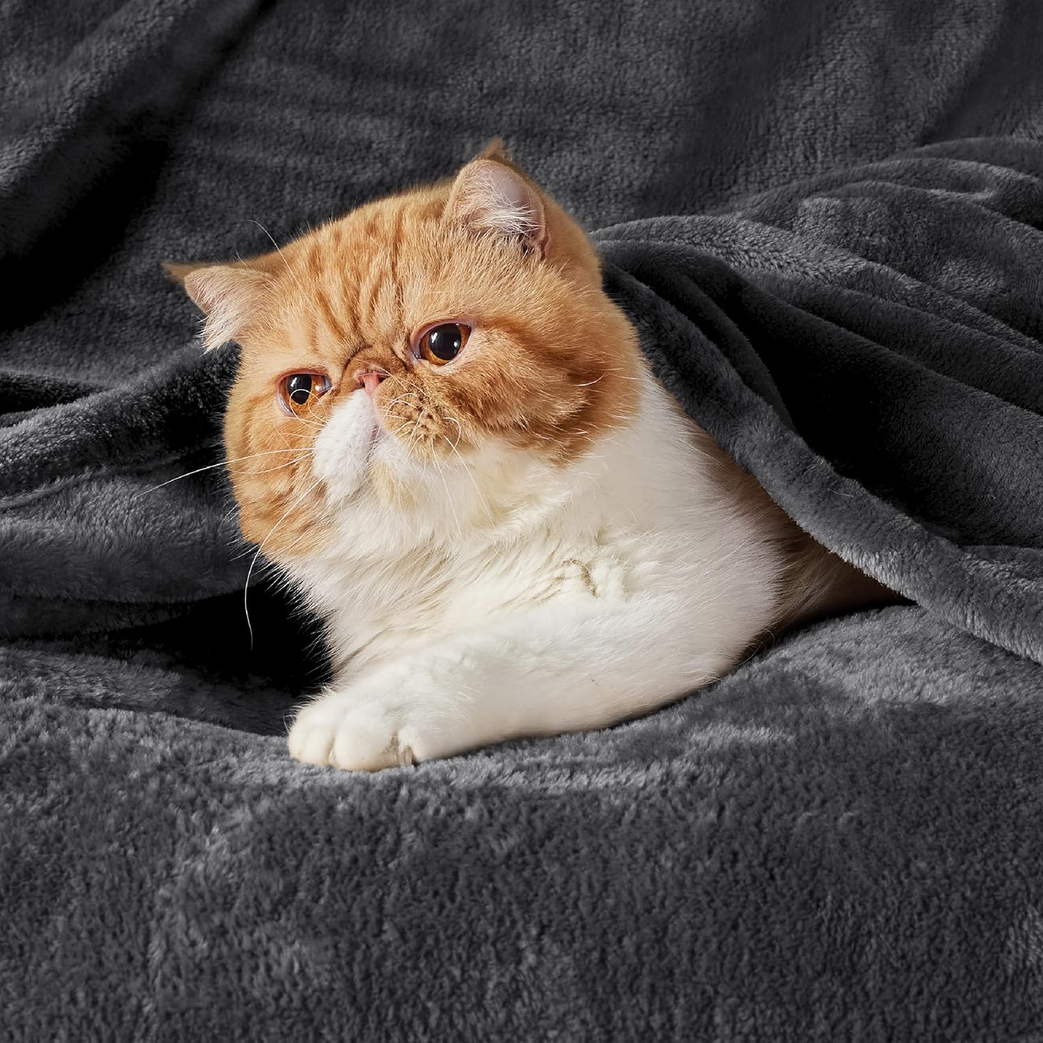 Thumbnail 1 de Bedsure Fleece Blanket King Size: Soft, Warm and Safe 270x230 cm (Dark Grey)