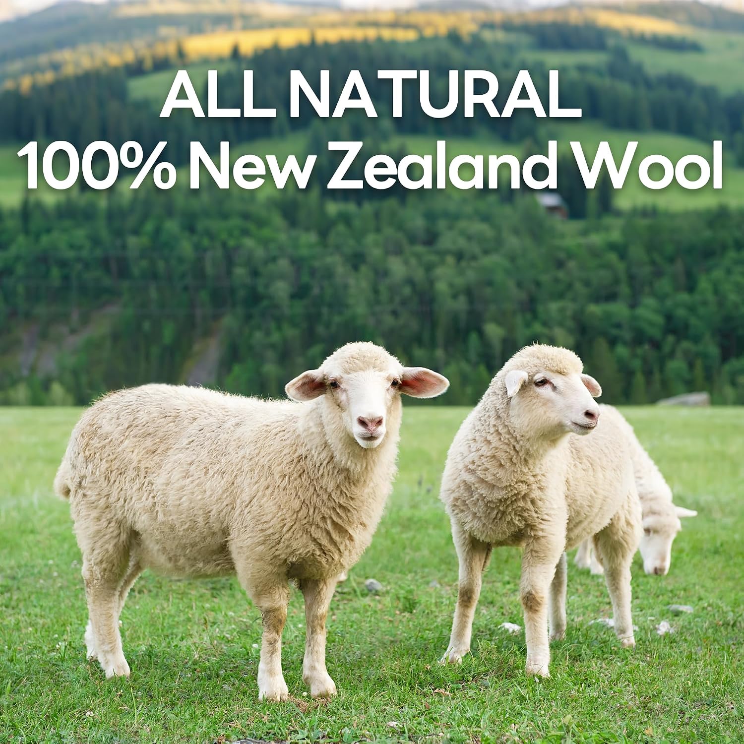 Detalle 2 de Foneso 001 XL Wool Dryer Balls, 6-Pack, Reusable New Zealand Wool