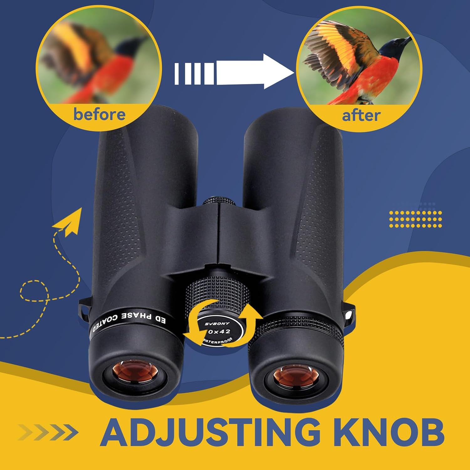 Detalle de Svbony SV202 10x42 Binoculars Review: Solid Mid‑Range for Birdwatching and Wildlife