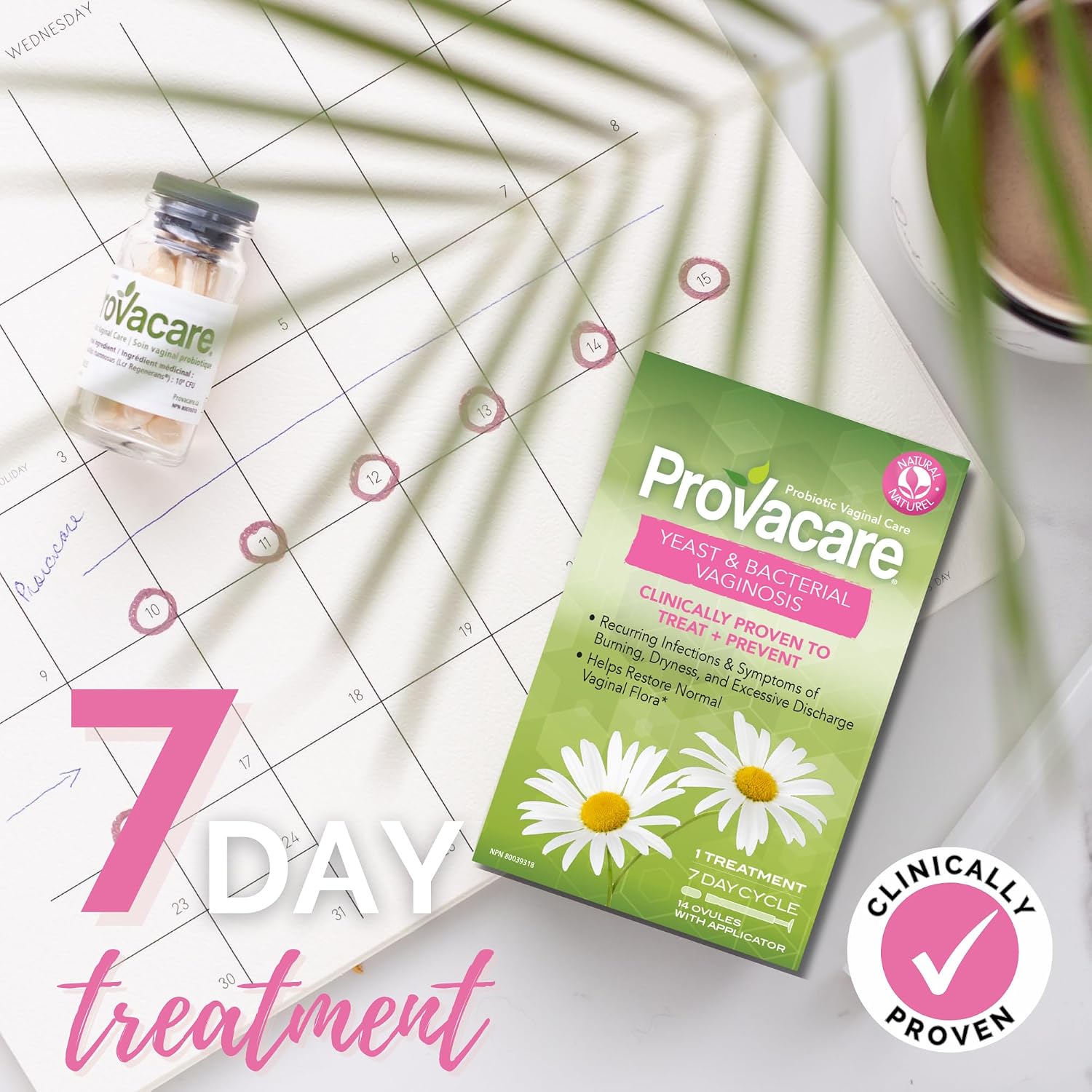 Thumbnail 6 de Provacare F5200 Probiotic Vaginal Ovules, 14-Count, 7-Day Treatment