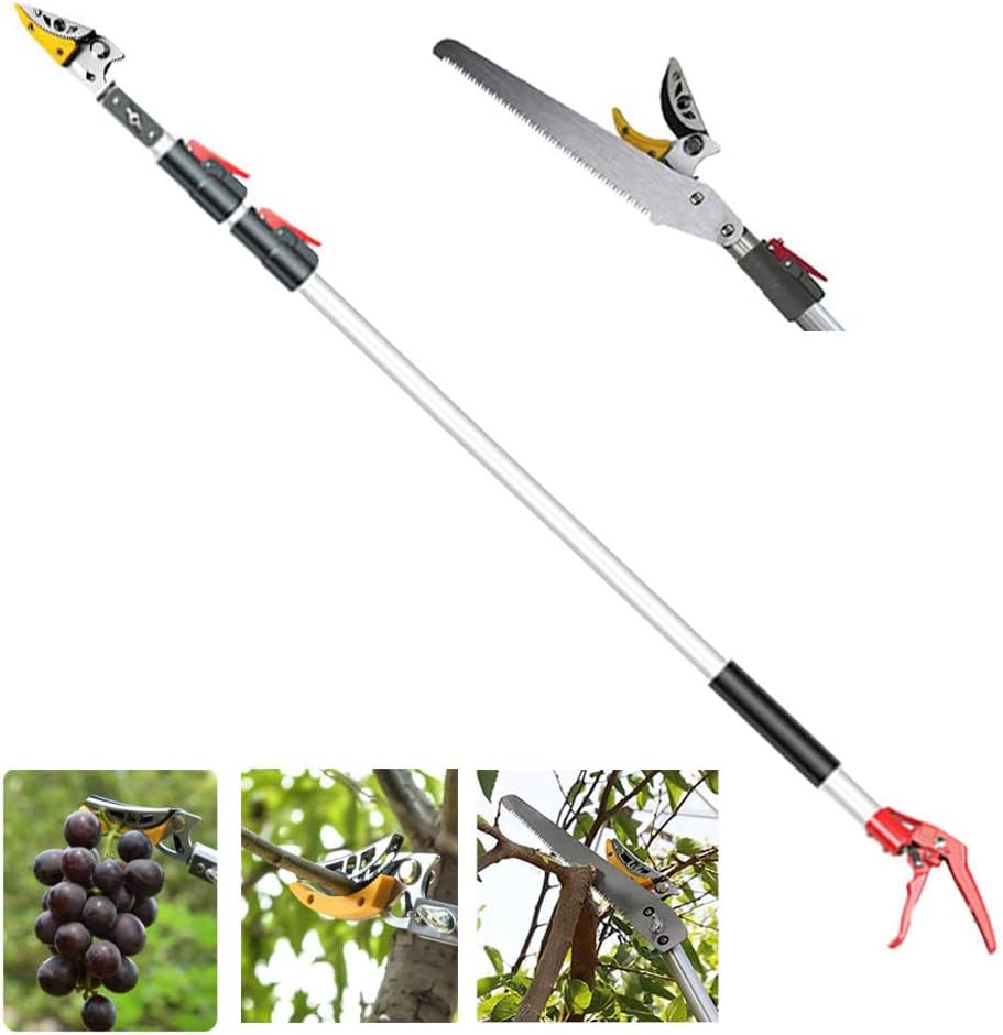Detalle 2 de Forbici telescopiche giraffa da potatura 3,40 m ✂