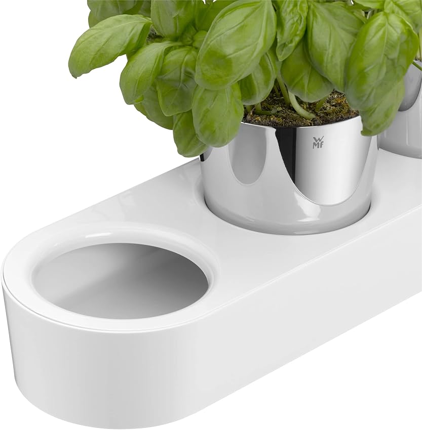 Detalle 1 de WMF Gourmet Macetero de hierbas con riego automático 36 cm