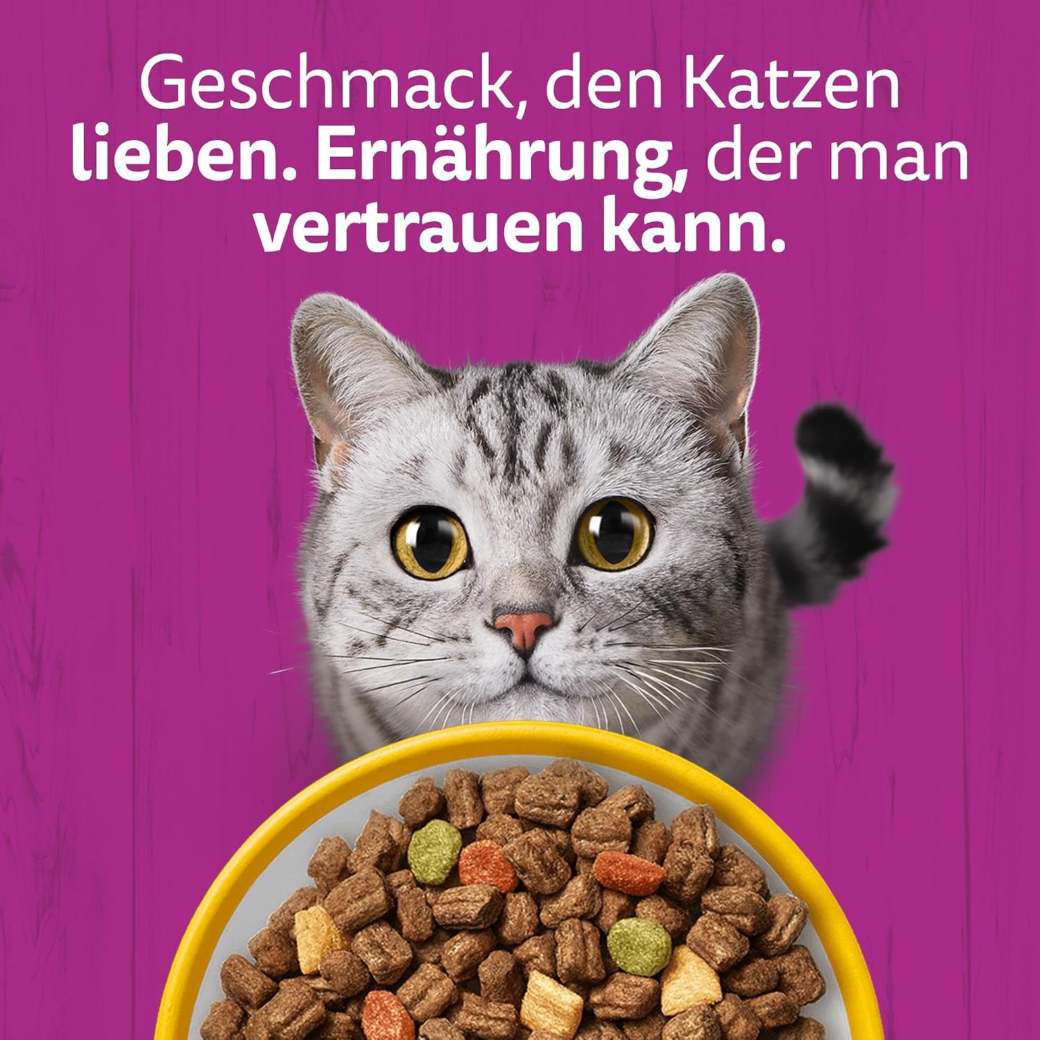 Thumbnail 6 de WHISKAS Trockenfutter Adult 7 kg mit Huhn – ausgewachsene Katzen