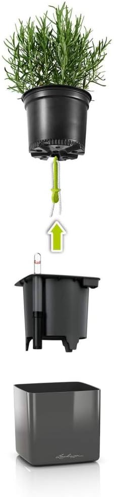 Thumbnail 2 de LECHUZA CUBE Glossy 14 bianco lucido