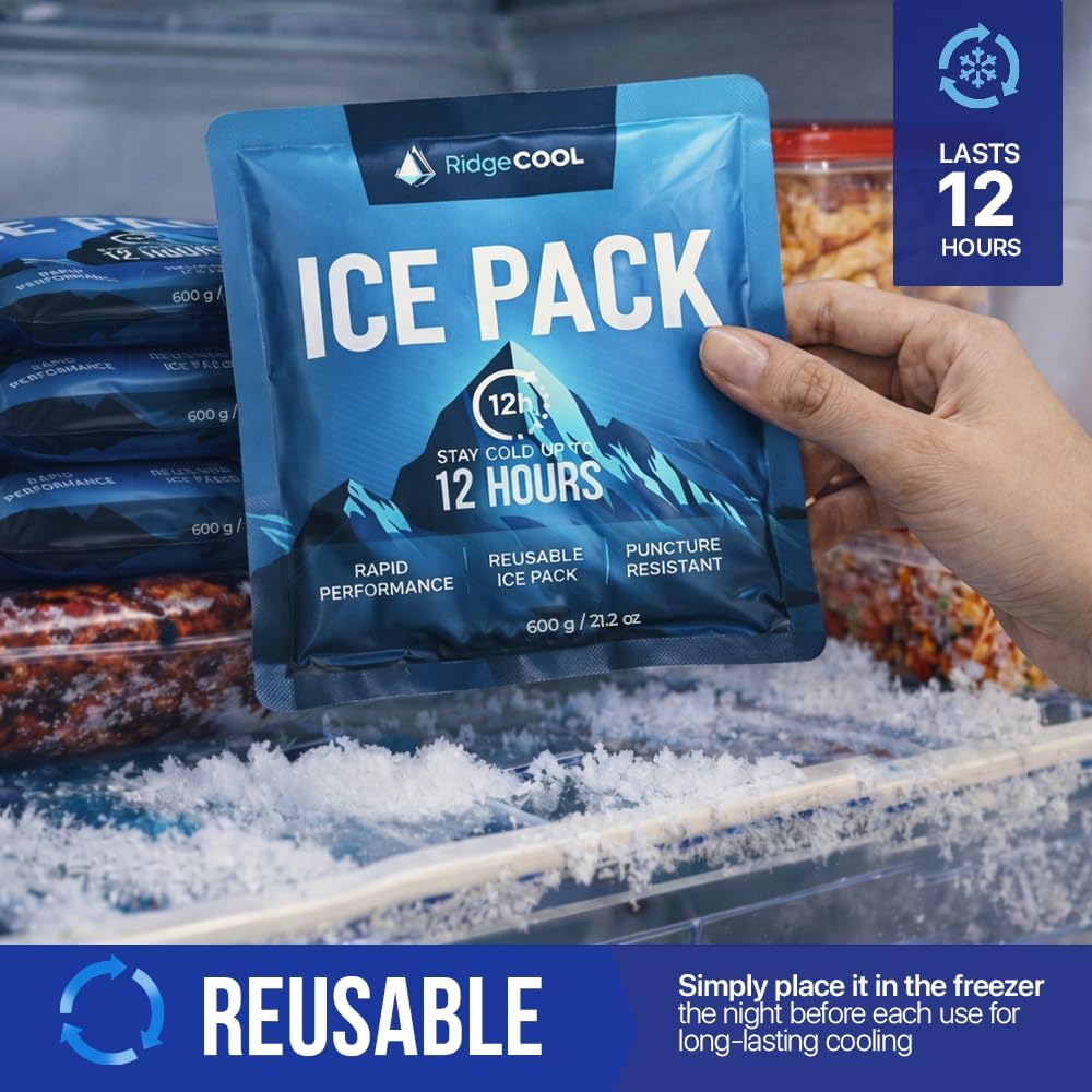 Thumbnail 1 de RIDGECOOL Reusable Cooler Ice Packs, 4-Pack, Large 9.8 x 8.6-Inch Size