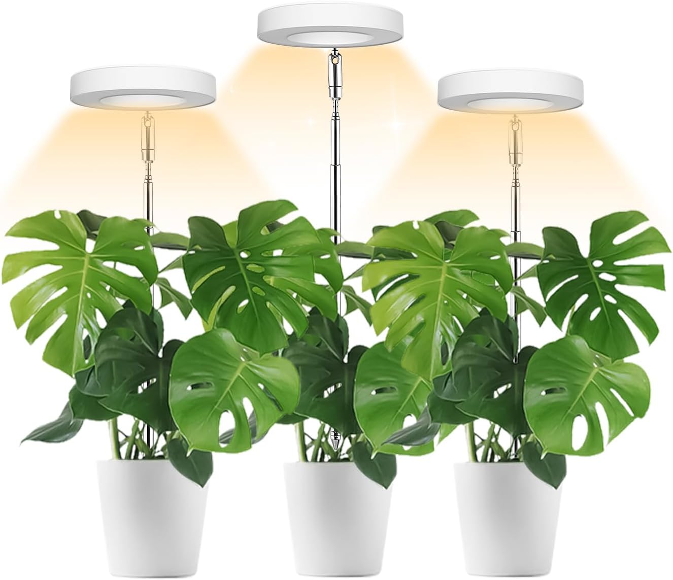 Detalle de Wiaxulay BL-B10A 3.5-Inch Halo Grow Light, 3-Pack with Timer and 3 Light Modes