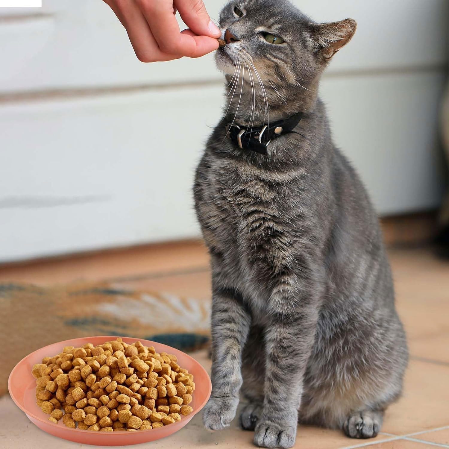 Thumbnail 6 de Katzenfutter Napf Set 10 Stück