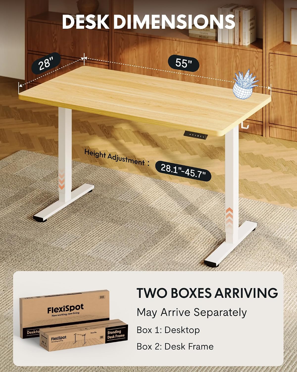 Detalle de FLEXISPOT EN1 55" x 28" Electric Standing Desk, Maple, 1" Seamless Top