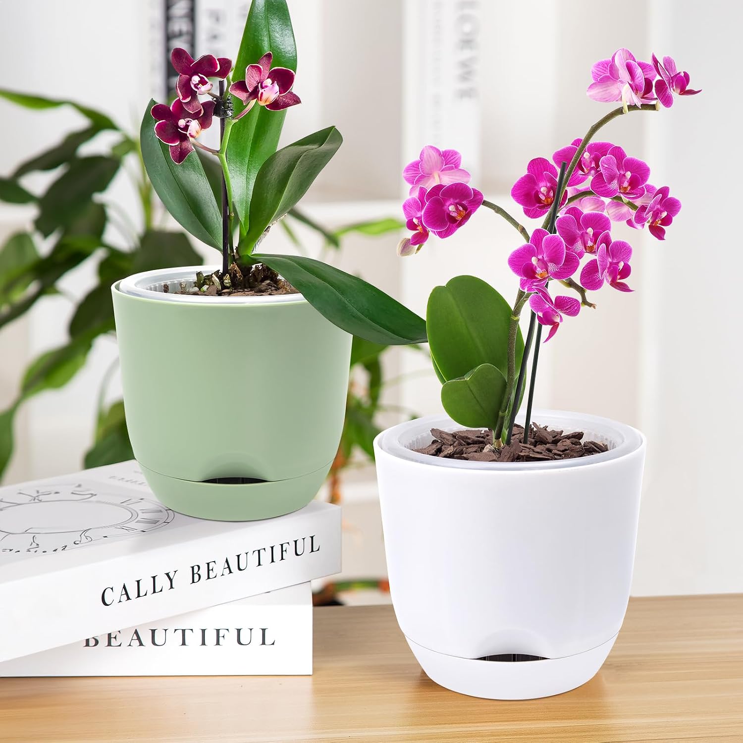 Thumbnail 3 de QCQHDU 2Pack 5.8In Orchid Pots with Self-Watering Reservoirs – Clear Large Plastic Pots for Phalaenopsis (Pure White)