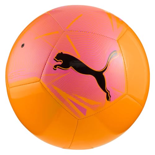 PUMA Chat Balles d'entraînement Mixte ⚙