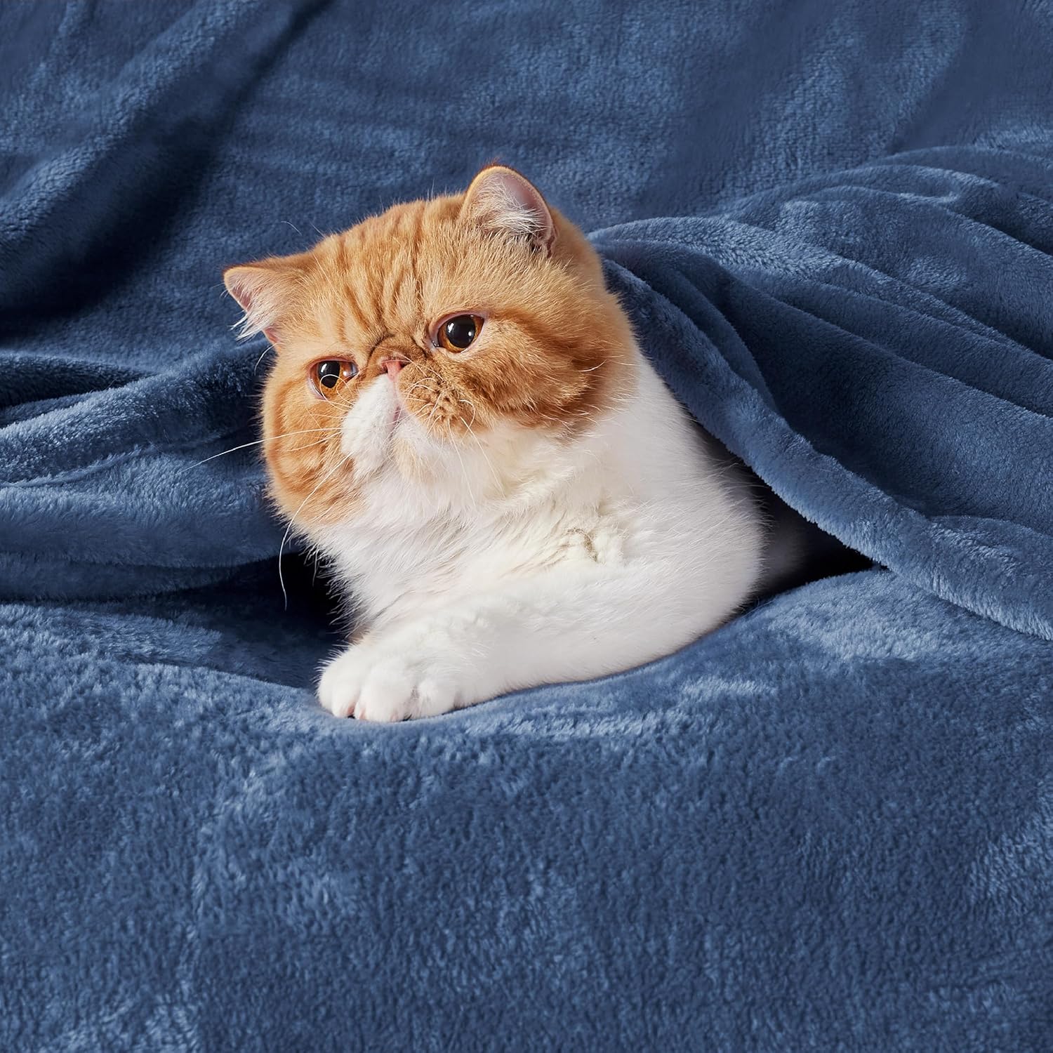 Thumbnail 1 de Bedsure Fleece Blanket for Bed – Soft Cosy Fluffy Throw Blanket, Mineral Blue, 220x240 cm
