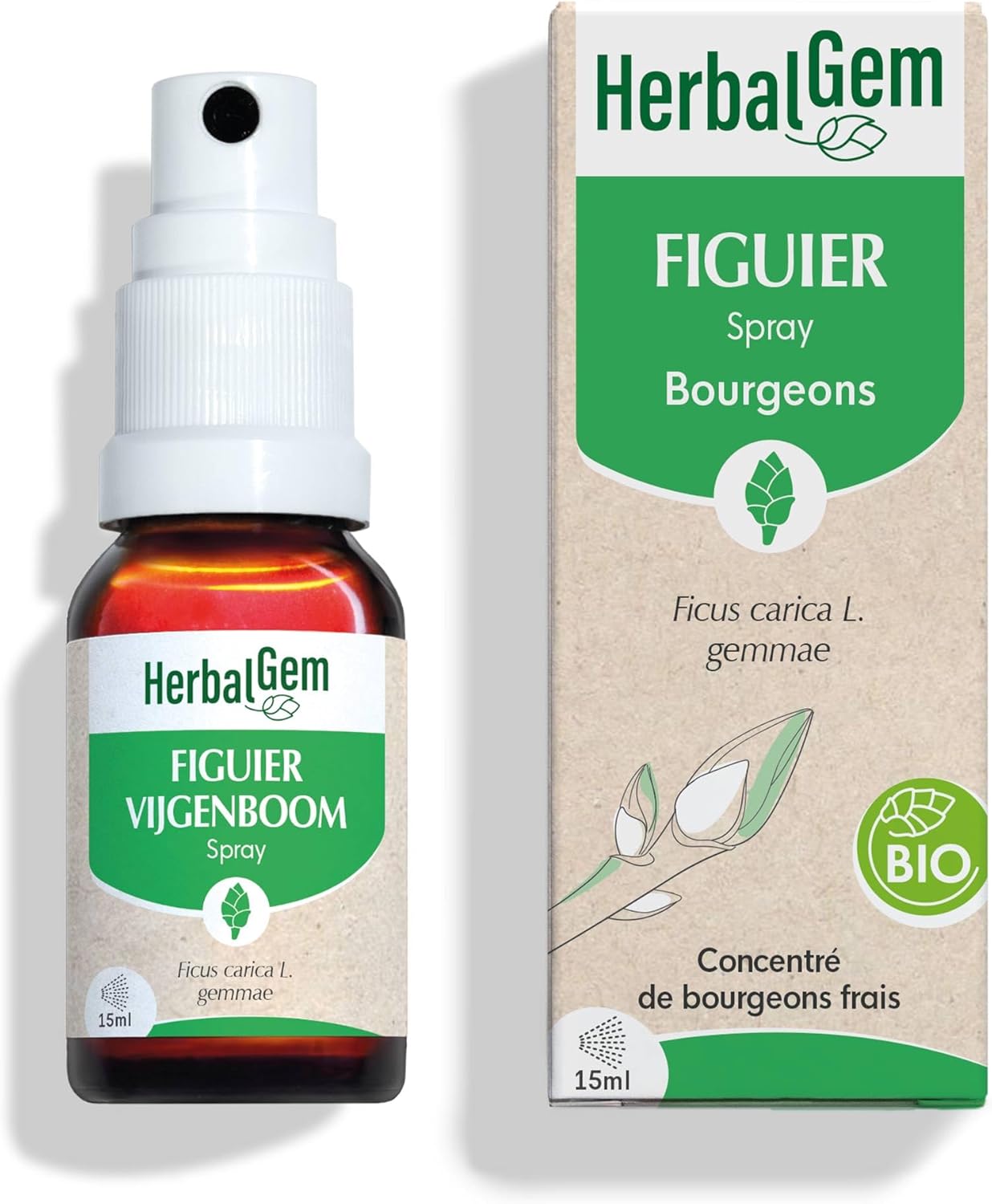 Thumbnail 4 de HERBALGEM Macérât-Mère Figuier Bio – Complément Gemmothérapie Concentrée, Extrait de Bourgeon Frais (30 ml)