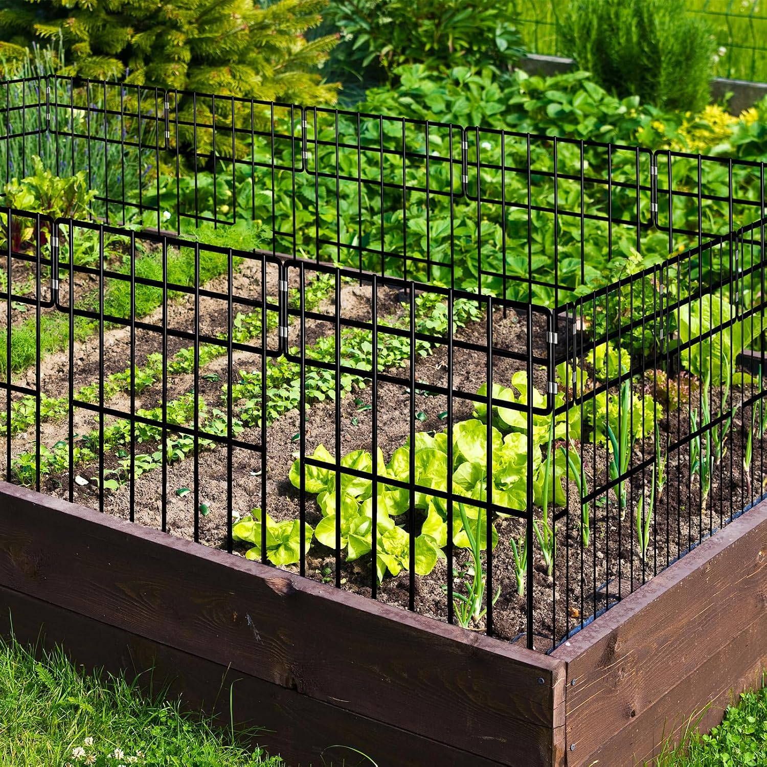 Thumbnail 5 de Thealyn 10 Pack Animal Barrier Fence 3.3 m