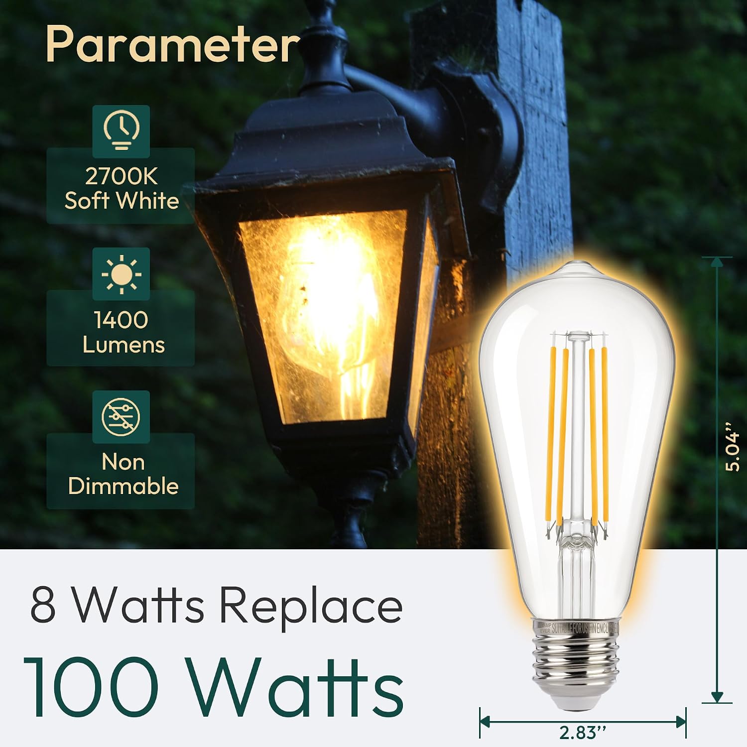 Detalle de ALAMPEVER ST19E26-DTD-2700K-8W-2 LED Bulbs, 1,400 Lumens, 2700K