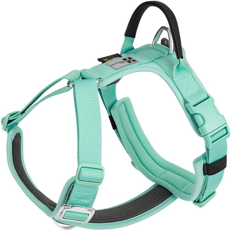 Detalle de Small Combination Small Combination dog harness (no-pull) – adjustable vest with durable handle in aqua green (XS)
